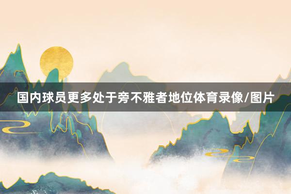 国内球员更多处于旁不雅者地位体育录像/图片