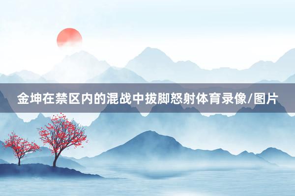 金坤在禁区内的混战中拔脚怒射体育录像/图片